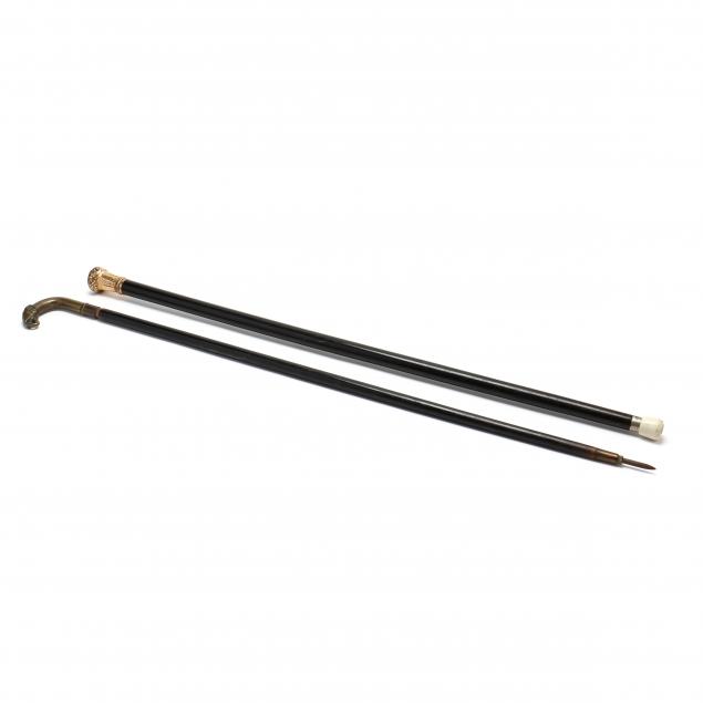 two-antique-canes
