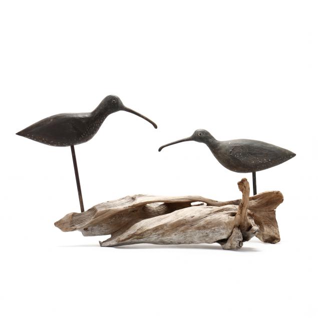 aaron-hooper-curlew-pair-mounted-on-driftwood
