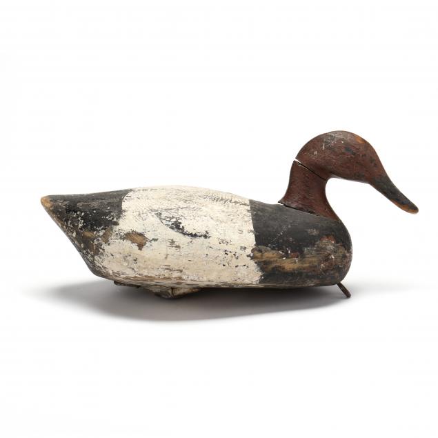 swan-island-club-canvasback