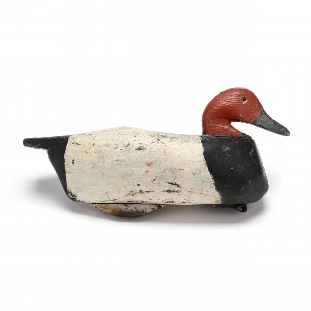 anonymous-currituck-canvasback