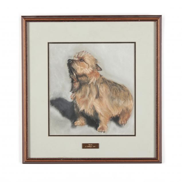 a-portrait-of-a-terrier-i-daphne-i-by-n-williams