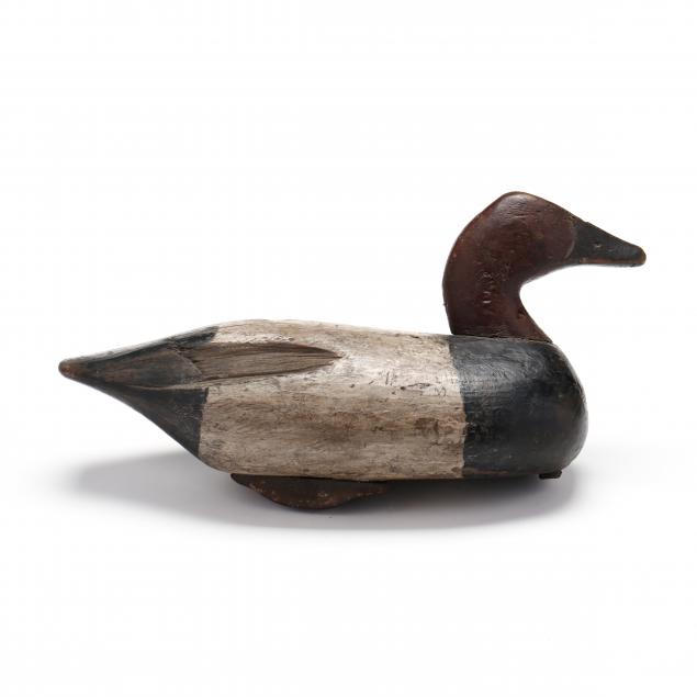 oscar-carroll-canvasback