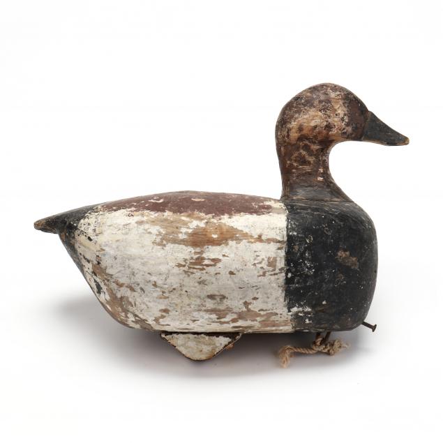 george-waterfield-canvasback