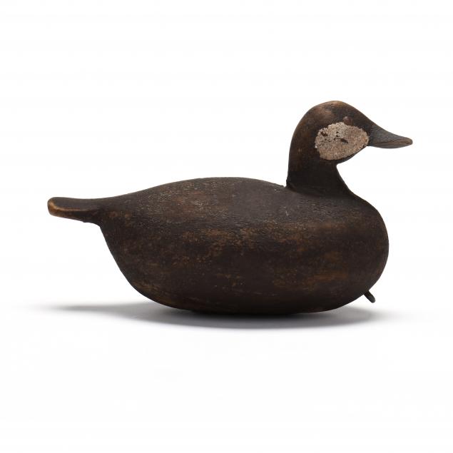 bud-coppedge-ruddy-duck