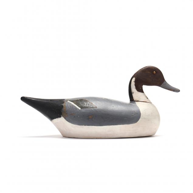 henry-murphy-pintail