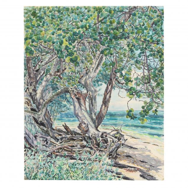paul-minnis-nc-b-1933-mangrove-by-the-coast