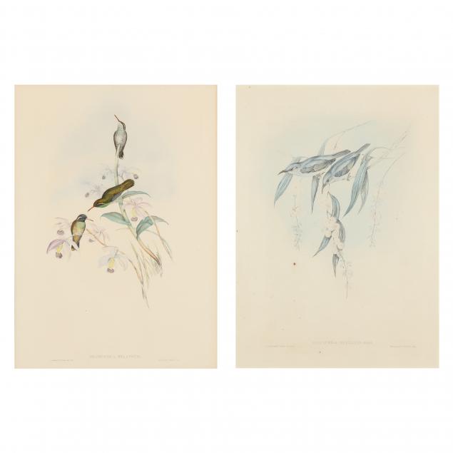 two-gould-richter-hummingbird-lithographs