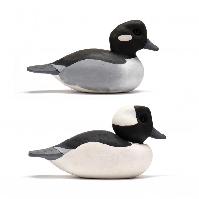 david-lawrence-bufflehead-pair