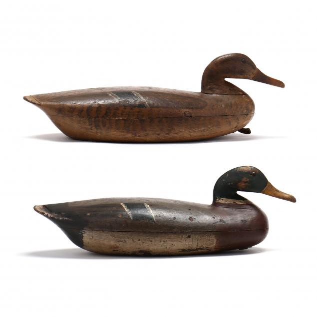 delaware-river-mallard-pair