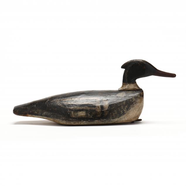 maine-merganser