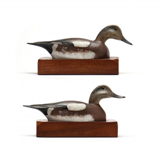 dr-lewis-webb-hill-widgeon-drake-pair