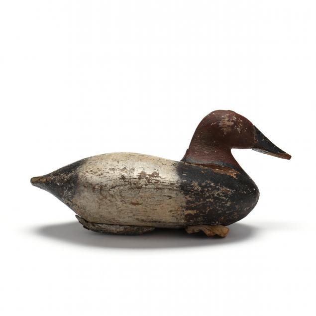 chesterfield-maryland-canvasback