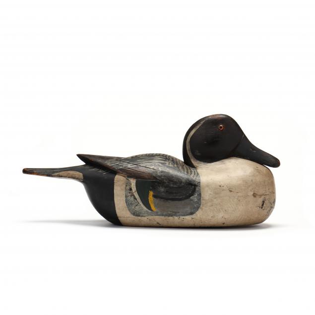 jess-heisler-pintail