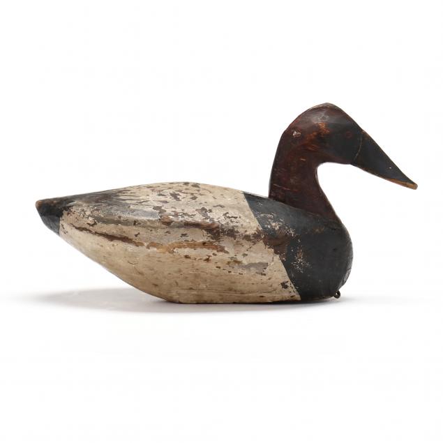 russell-waterfield-canvasback