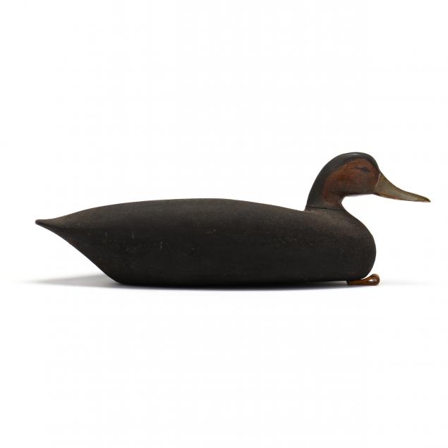 jake-barrett-black-duck