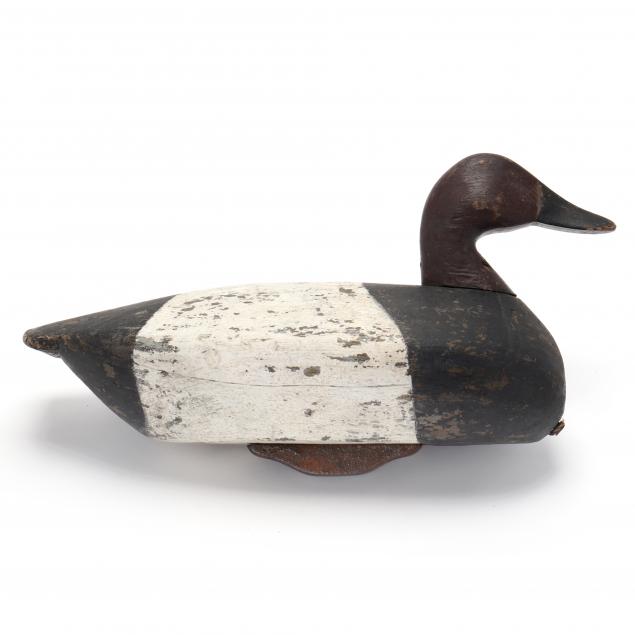 bob-morse-canvasback