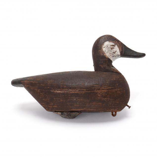 ned-burgess-ruddy-duck