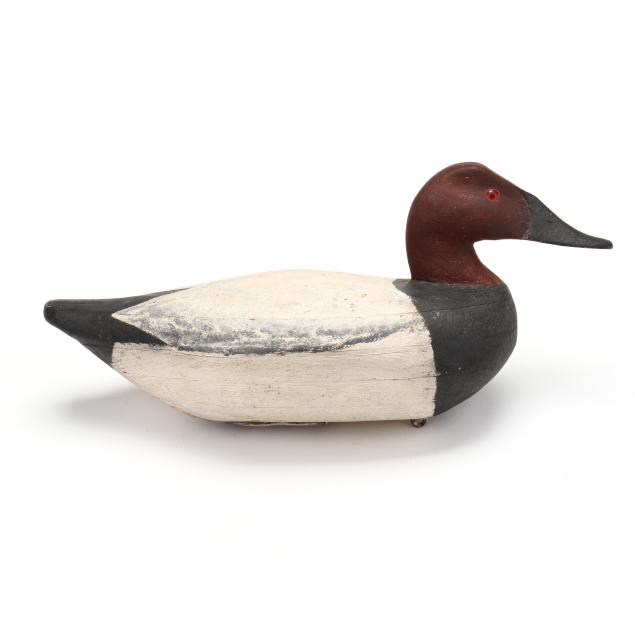 knotts-island-canvasback