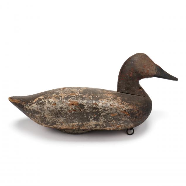 jim-holly-hen-canvasback