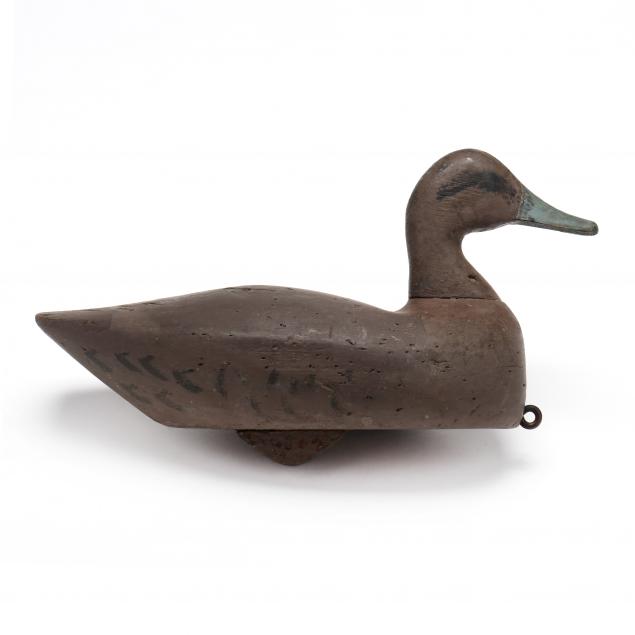 joe-hayman-hen-pintail