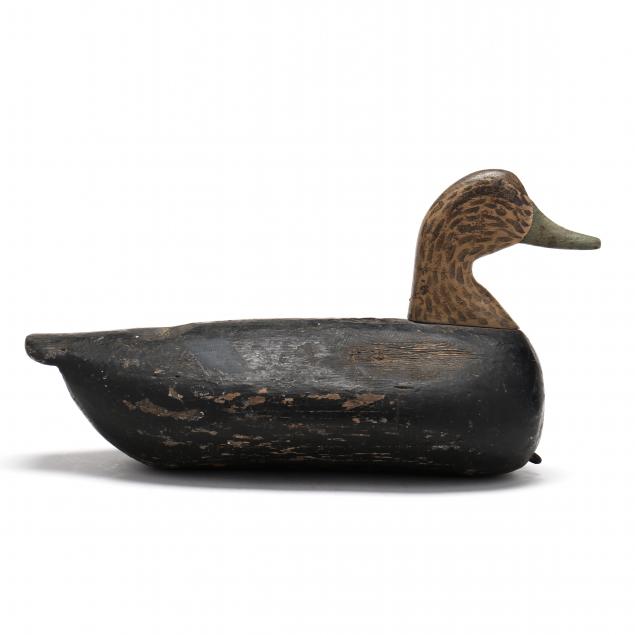 joe-hayman-black-duck