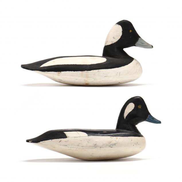 doug-jester-pair-of-bufflehead