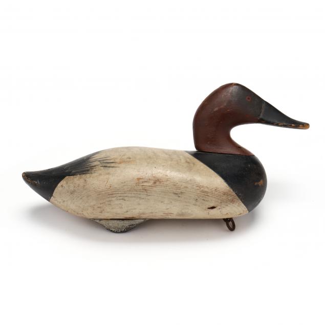 madison-mitchell-canvasback