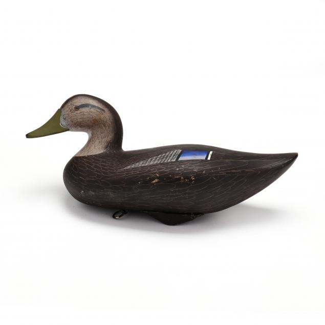 jim-pierce-black-duck
