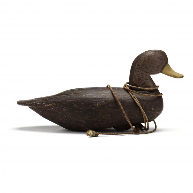 j-e-warren-black-duck-eastern-shore-virginia