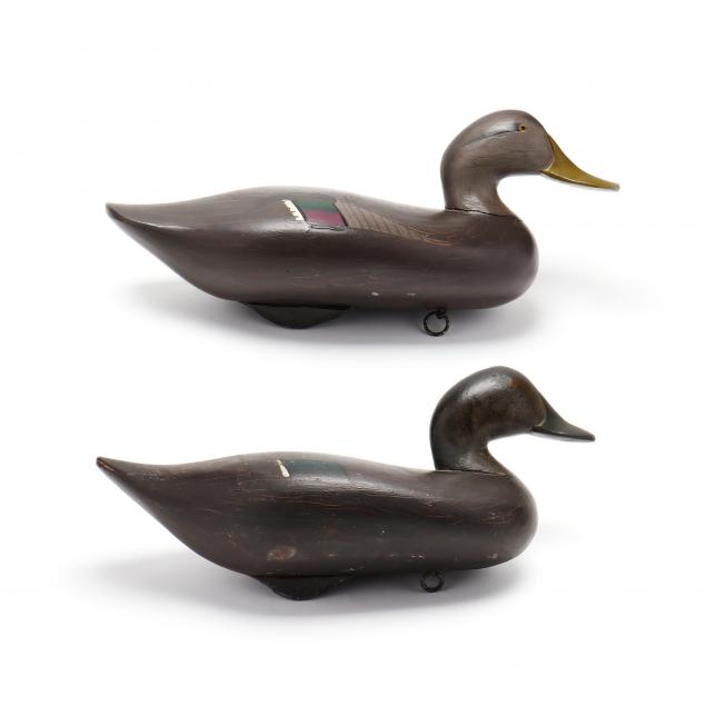 madison-mitchell-pair-of-black-ducks