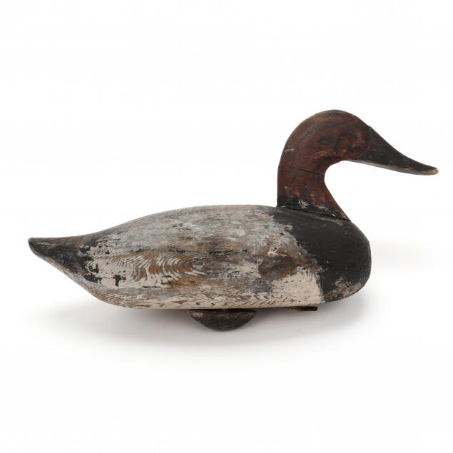 jim-holly-canvasback