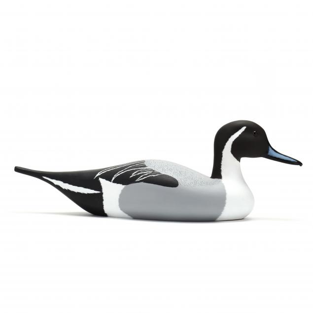 wayne-davis-pintail