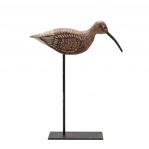 anonymous-long-island-curlew