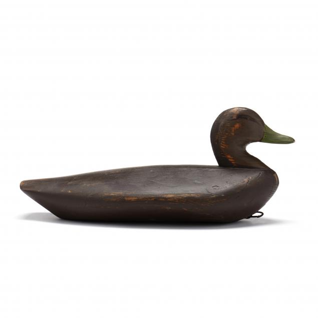 bodie-island-club-nc-black-duck