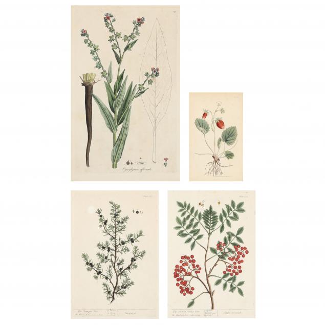 four-antique-fruit-and-floral-botanical-engravings