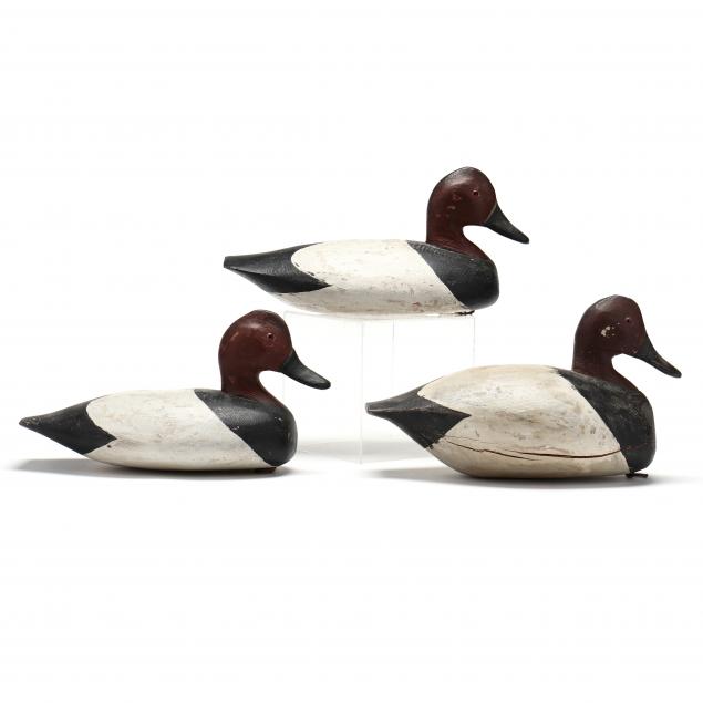 winton-thompson-nc-three-canvasback-duck-decoys