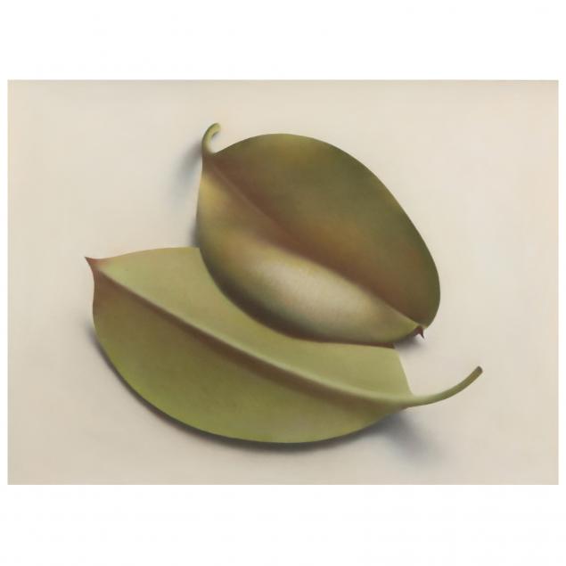 robert-peterson-american-1943-2011-i-two-rubber-tree-leaves-i