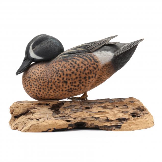 ben-heinemann-nc-blue-winged-teal