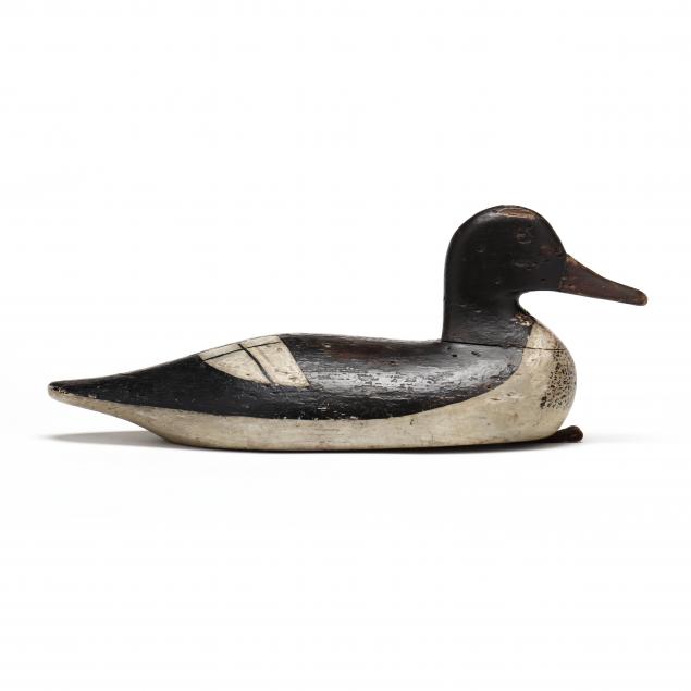 verity-family-ny-merganser