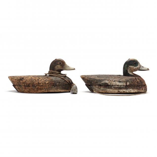 currituck-shooting-club-nc-pair-of-widgeon