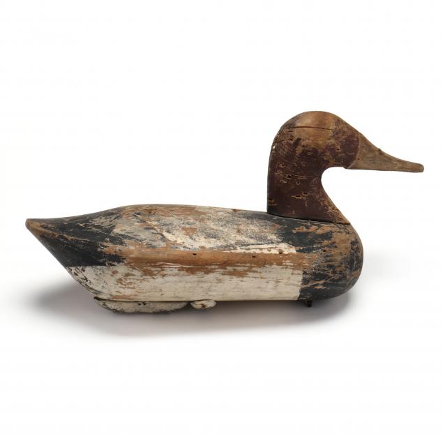 anonymous-maryland-canvasback