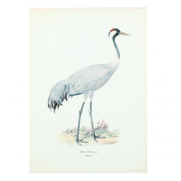 large-framed-print-of-a-crane