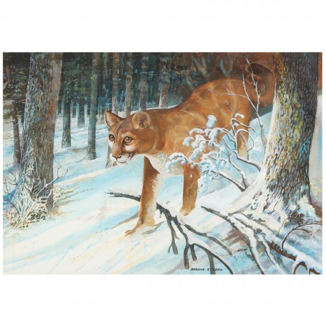 harold-styers-nc-1920-2010-cougar-in-snow