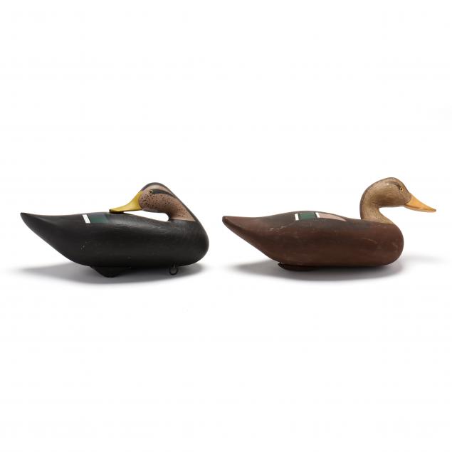 gibson-and-vincetti-md-two-black-ducks