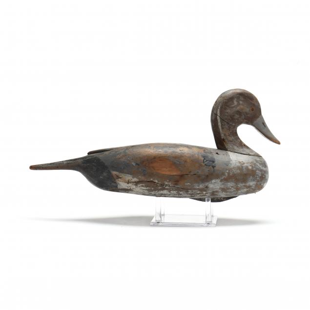 clarence-fallquet-la-pintail