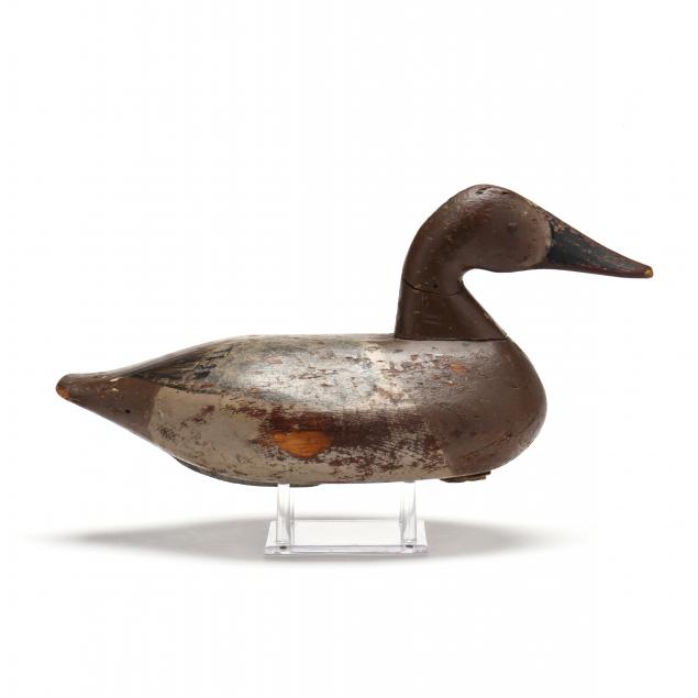 stanley-evans-md-1887-1979-hen-canvasback