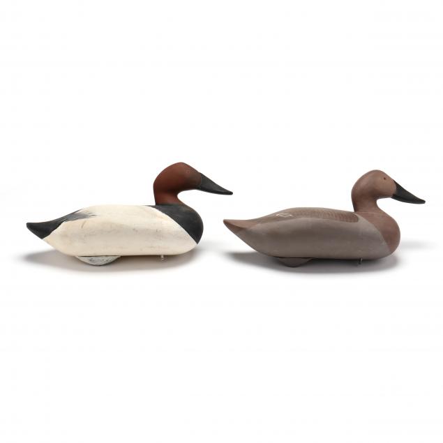 madison-mitchell-md-1901-1993-canvasback-pair