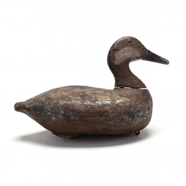 george-waterfield-nc-1885-1926-published-ruddy-duck
