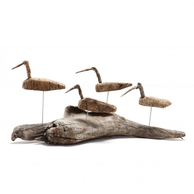 guthrie-family-nc-published-four-root-head-shorebirds-on-driftwood