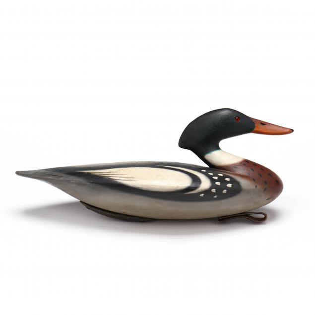 pete-hurricane-peterson-va-merganser